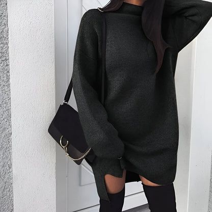 Filipa | 2024 Herbst Oversized Rollkragenkleid
